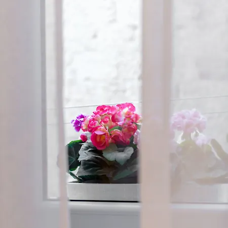 Aurum Templi Apartment Split