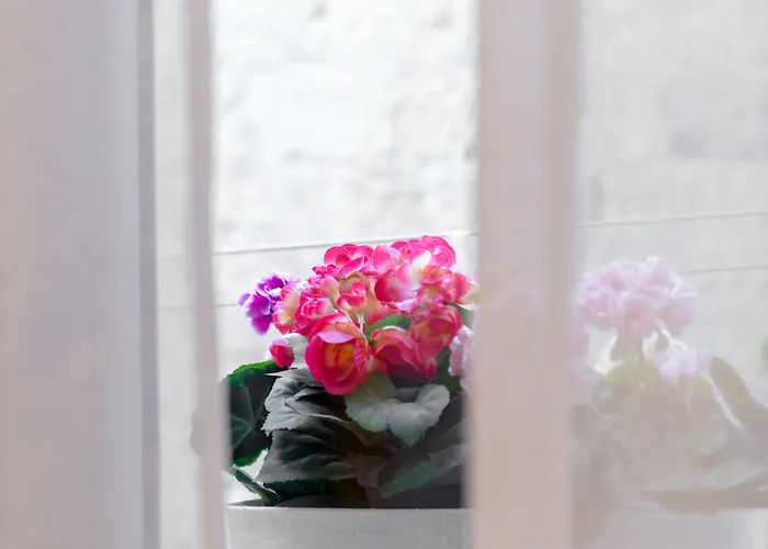 Aurum Templi Apartment Split